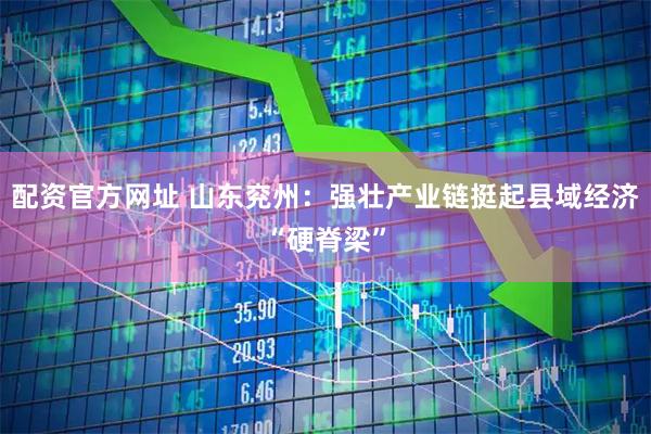 配资官方网址 山东兖州：强壮产业链挺起县域经济“硬脊梁”