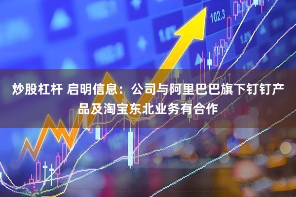 炒股杠杆 启明信息：公司与阿里巴巴旗下钉钉产品及淘宝东北业务有合作